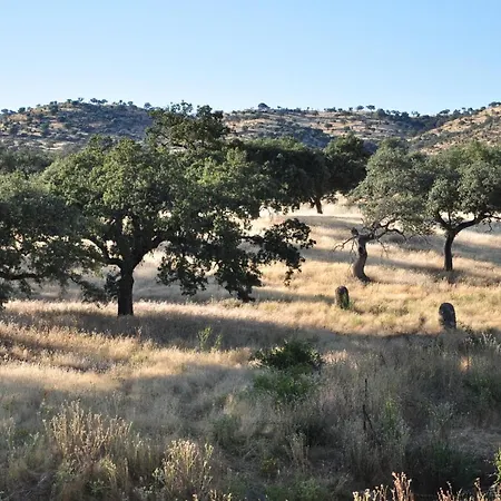 La Matilla Puebla Del Maestre
