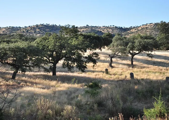 La Matilla Puebla Del Maestre